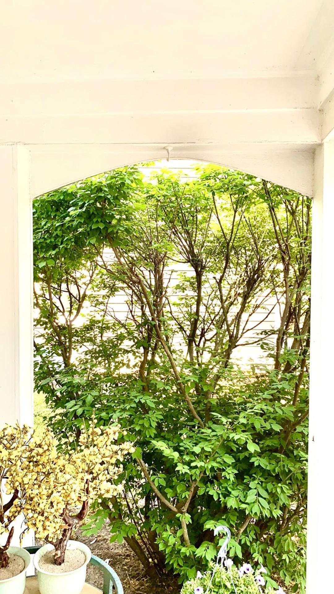 B3 A Private Room In Naperville Downtown With Desk And Wi-Fi Near Everything Bagian luar foto